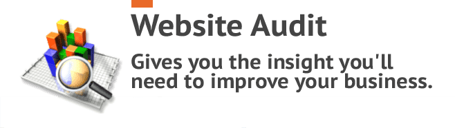 free-website-audits-smartP